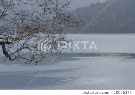 Betto Lake 1 10036375