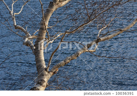 Betto Lake 13 10036391