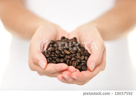 Coffee beans - woman showing coffee bean handful Coffee beans - woman showing coffee bean handful 10037592