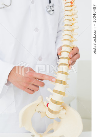 Extreme close-up of a finger pointing at skeleton model Extreme close-up of a finger pointing at skeleton model 10040487