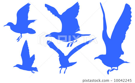 Seagull's Silhouette 10042245