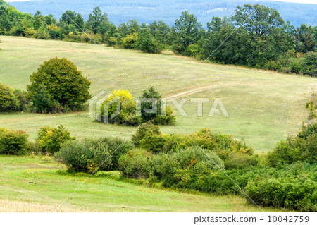 Landscape 10042759