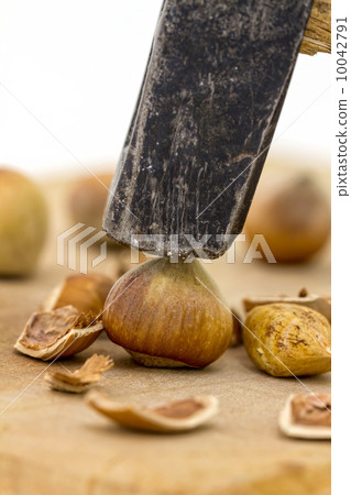 Hazelnut 10042791