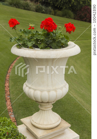 vase of flowers vase of flowers 10042890