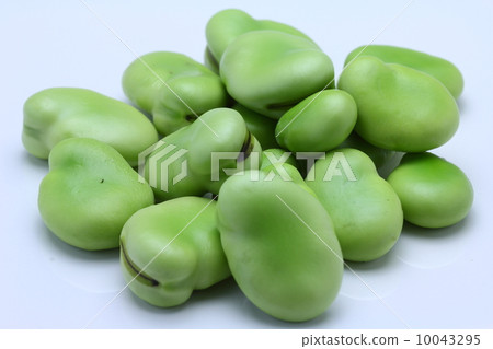 蠶豆 蠶豆 10043295