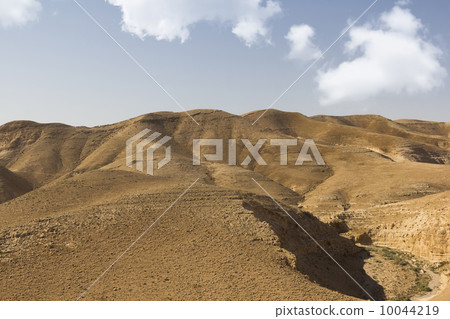 Desert canyon of Wadi Kelt 10044219