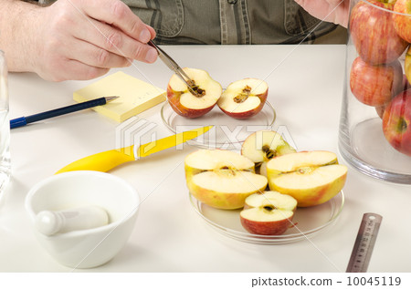 Detection of rot inside apple Detection of rot inside apple 10045119