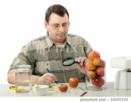 Phytocontrol expert inspects the appearance of apples Phytocontrol expert inspects the appearance of apples 10045334