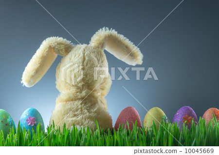 easter 10045669