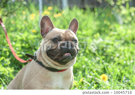jack jack 10045718