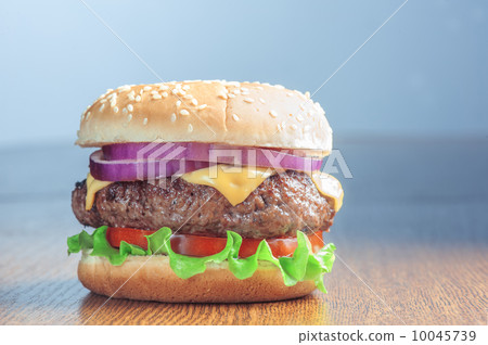 cheeseburger 10045739