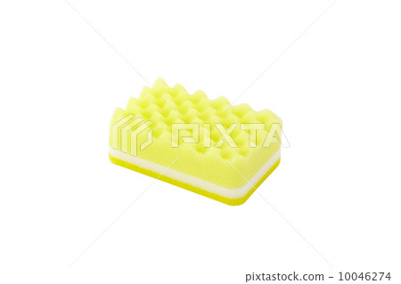 海綿 海綿 10046274