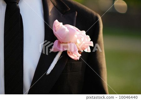 Pink groom boutonniere 10046440
