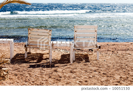 beach of Red Sea 10051530