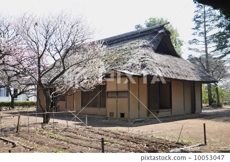 Edo Toyodonto Garden Hachioji 1,000 concentric set head home 10053047