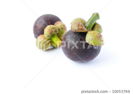 Mangosteens 10053769