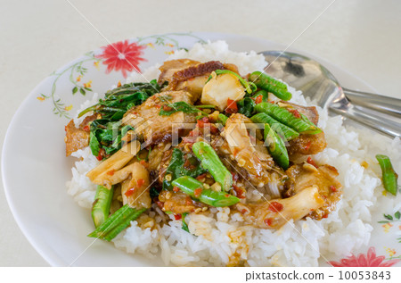 Pork spicy basil sauce with rice. 10053843