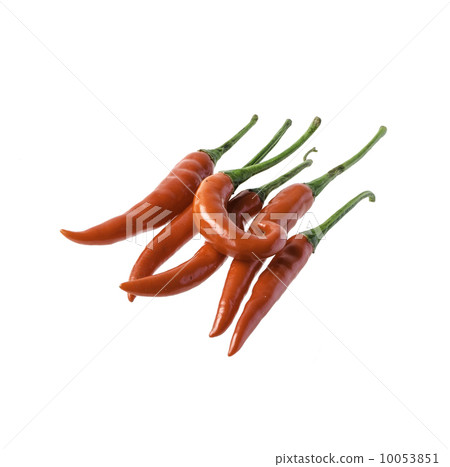 Red chili peppers isolated on white background Red chili peppers isolated on white background 10053851