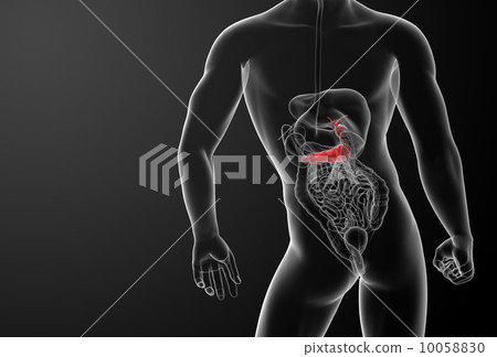 3d render gallblader and pancrease - back view 10058830