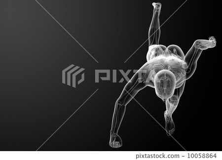Running human anatomy by X-rays - top view Running human anatomy by X-rays - top view 10058864