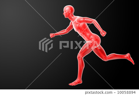 Running human anatomy by X-rays in red - side view 10058894