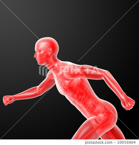 Running human anatomy by X-rays in red - side view Running human anatomy by X-rays in red - side view 10058904