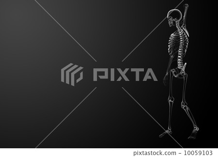3d render Skeleton X-rays - side view 10059103
