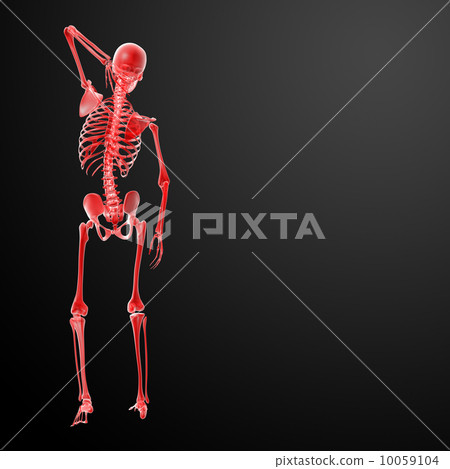 3d render Skeleton X-rays - back view 10059104