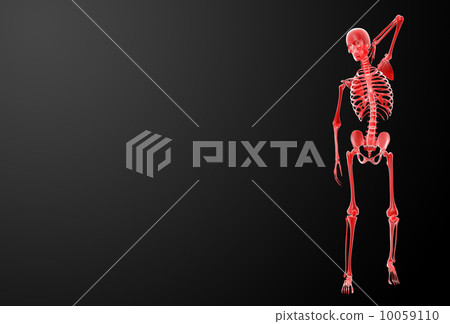 3d render Skeleton X-rays - front view 10059110
