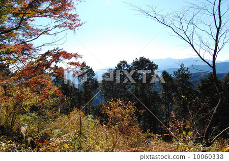 Mountain Mountain 10060338