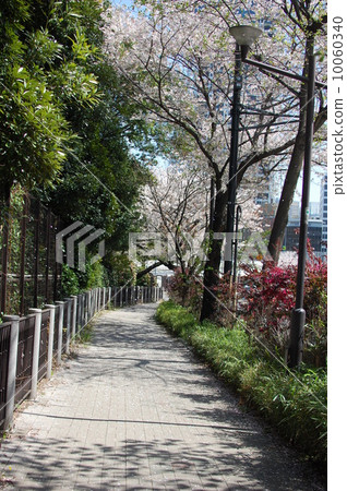 A walk A walk 10060340