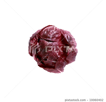Red Cabbage isolated on white Red Cabbage isolated on white 10060402