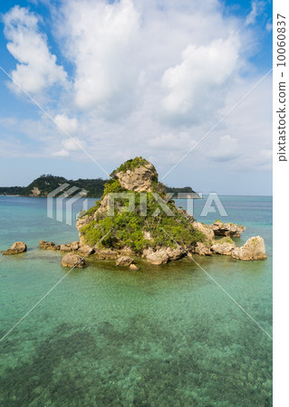 Koki Koryu Koki Koryu 10060837