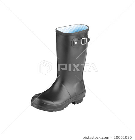 Gum Boot isolated against a white background 10061050
