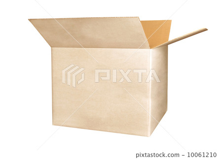 Corrugated Box 10061210