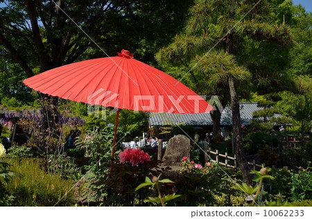 日本庭院 - 紅色日本傘 日本庭院 - 紅色日本傘 10062233
