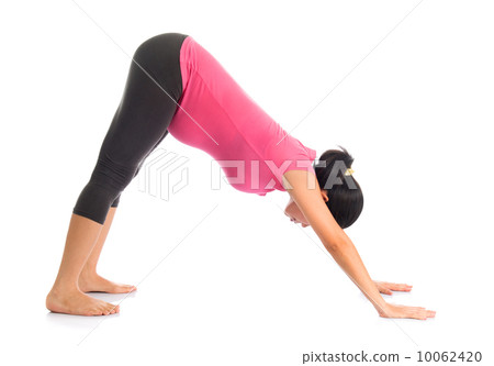 Asian pregnant yoga facing downward dog position. 10062420