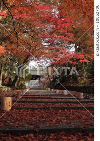 Fall of Bishamondo Fall of Bishamondo 10062706