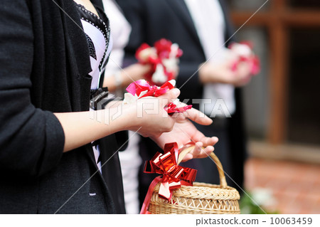Hands of a woman full of rose petals 10063459