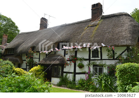 Thatched roof 10063627