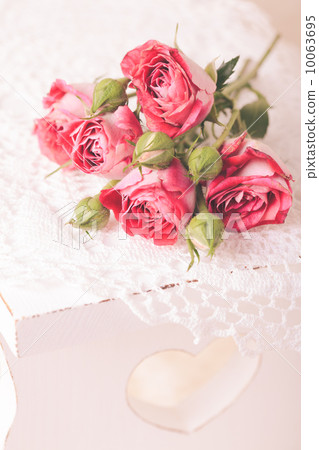 Pink roses Pink roses 10063695