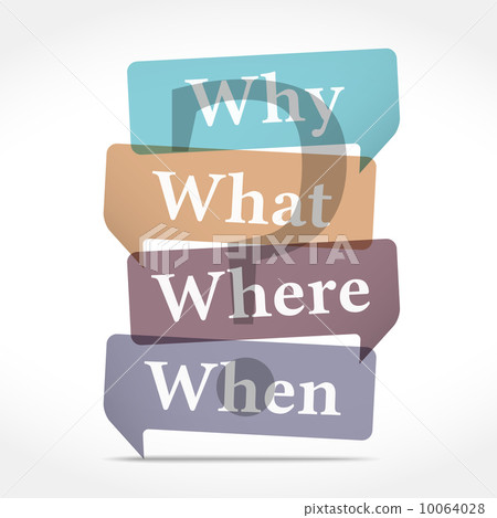 Questions 10064028