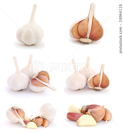 Garlic 10064119