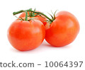 Tomatoes 10064397