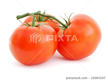 Tomatoes Tomatoes 10064397