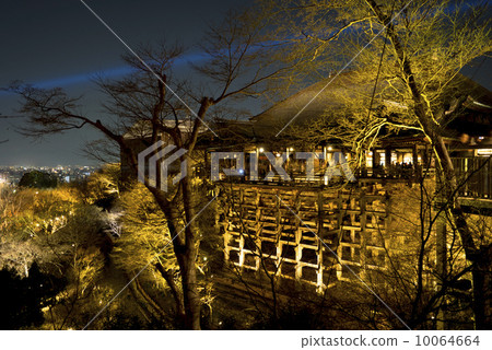 清水寺點亮了 清水寺點亮了 10064664