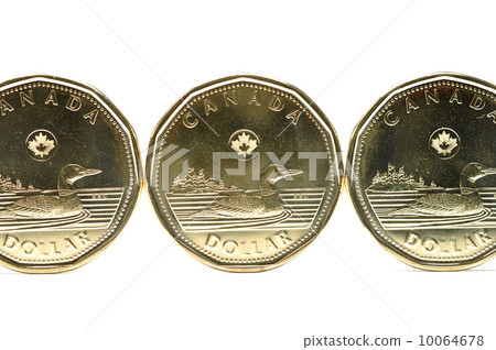 One dollar coin One dollar coin 10064678