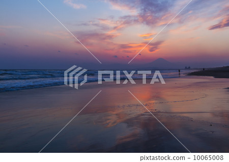 The beautiful sunset dyed in pink color makes spring feel the scenery of Kageuma Coast and Mt. Fuji 10065008