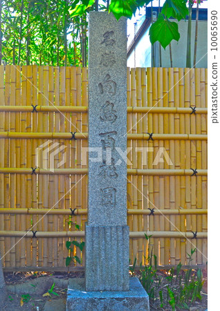 Mukojima百花園(東海島,墨田區, Mukojima百花園(東海島,墨田區, 10065690