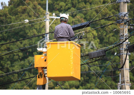 電線結構 10065691